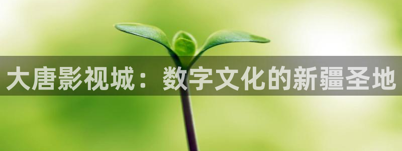 青丝影视：大唐影视城：数字文化的新疆圣地
