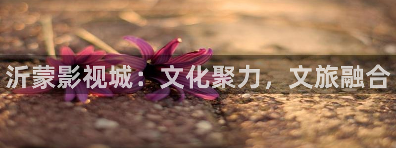 青丝影院免费观看电视剧高清在线播放：沂蒙影视城：文化聚力，文旅融合
