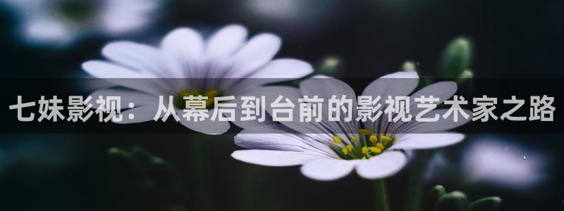 青丝影院电视剧更新时间：七妹影视：从幕后到台前的影视艺术家之路