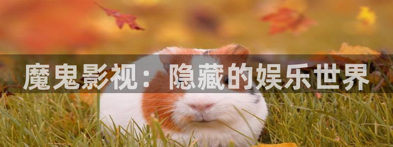 青丝影视最新免费观看电视剧全集：魔鬼影视：隐藏的娱乐世界