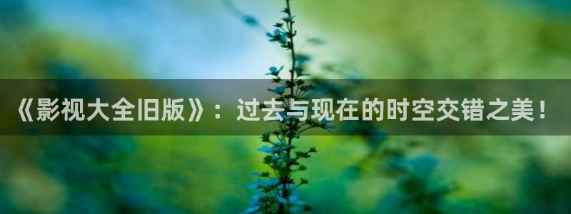 青丝影院手机在线观看免费