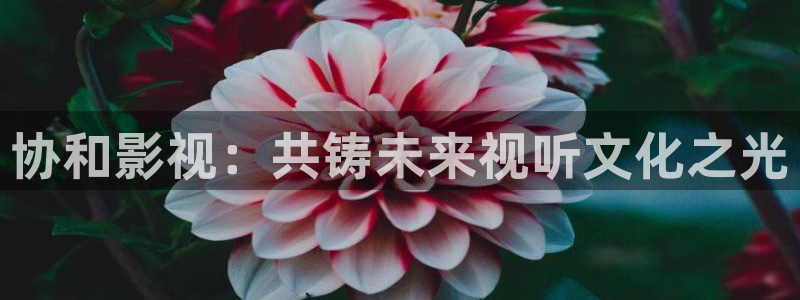 青丝影院电视剧播放：协和影视：共铸未来视听文化之光
